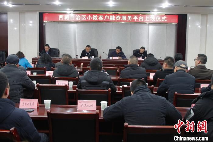 西藏首個小微客戶融資服務(wù)平臺上線 惠及民營小微企業(yè)