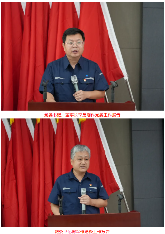 白鴿公司圓滿完成黨委、紀(jì)委換屆選舉工作開啟黨建引領(lǐng)高質(zhì)量發(fā)展新征程